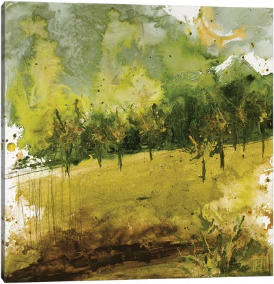 Griffith Park II Canvas Art Print