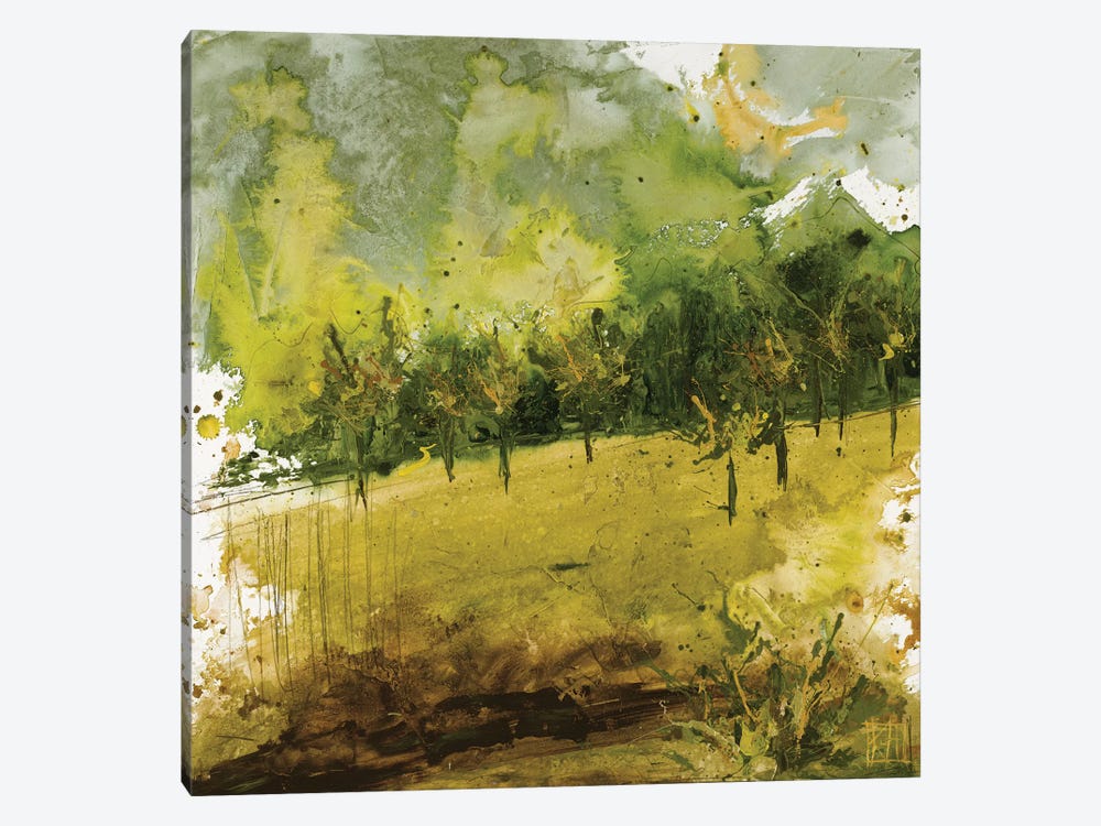Griffith Park II by Kelsey Hochstatter 1-piece Canvas Artwork