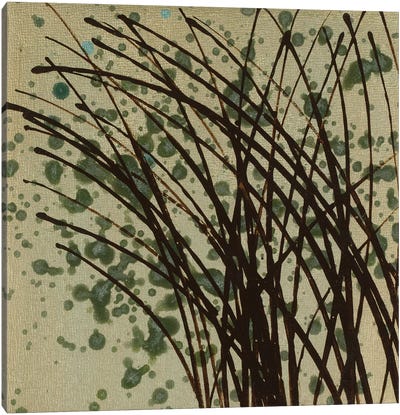 Wind & Rain XIV Canvas Art Print - Grass Art