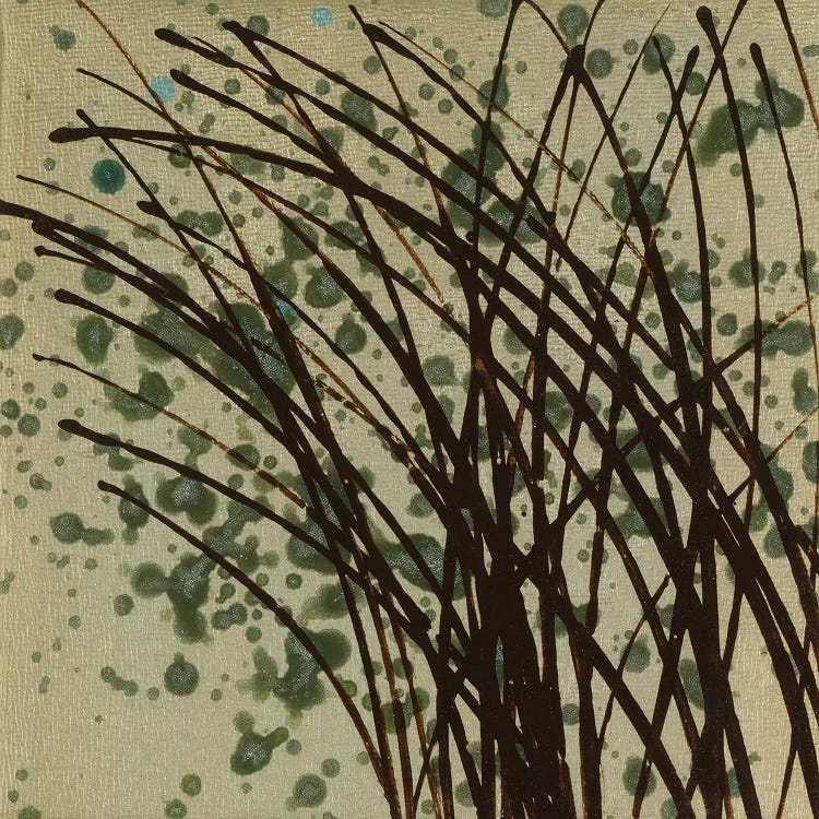 Wind & Rain XIV