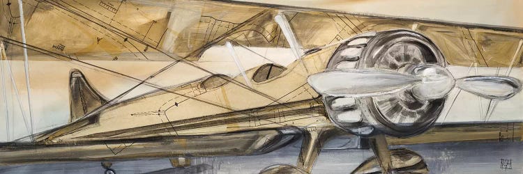 Biplane by Kelsey Hochstatter wall art