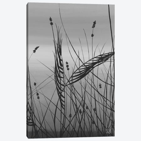 Grasses At Dusk II Canvas Print #KHS55} by Kelsey Hochstatter Canvas Art