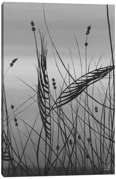 Grasses At Dusk II Canvas Art Print - Gray Art
