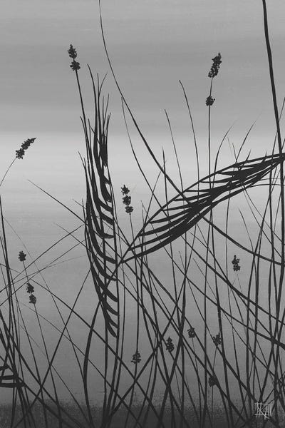Grasses At Dusk II