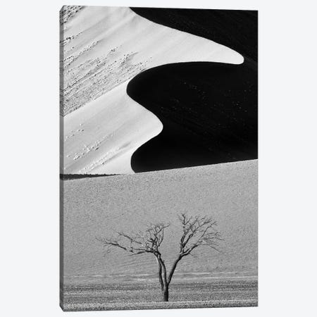 Dune Curves Canvas Print #KHT8} by Ali Khataw Canvas Art Print