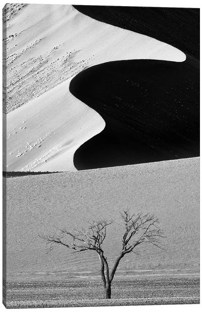Dune Curves Canvas Art Print