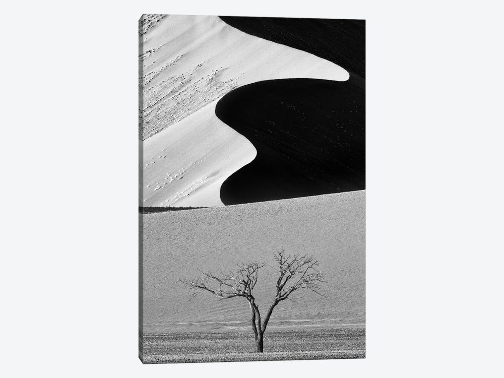 Dune Curves by Ali Khataw 1-piece Canvas Art Print
