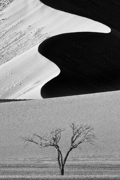 Coastal Sand Dunes: Dune Curves by Ali Khataw