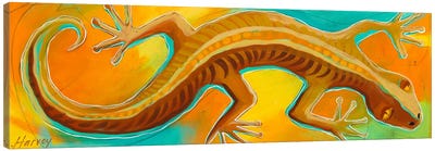 Lizard Canvas Art Print - Reptile & Amphibian Art