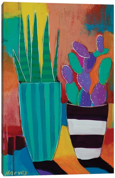 On The Patio Canvas Art Print - Cactus Art