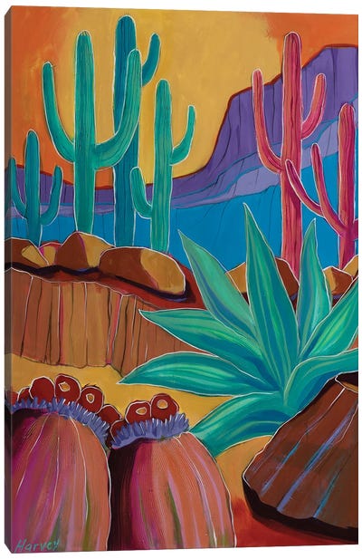 Saguaros In The Valley Canvas Art Print - Desert Art