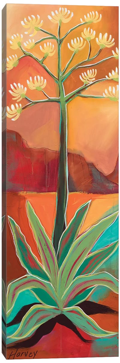 Century Plant Canvas Art Print - Southwest Décor