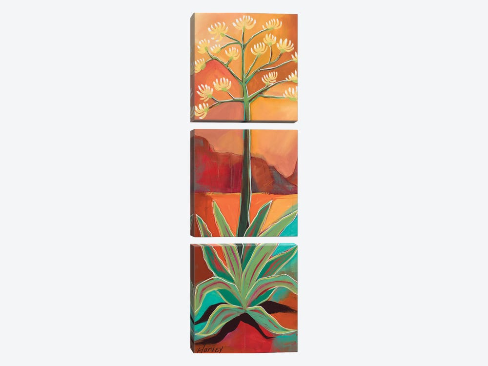 Century Plant by Kristin Harvey 3-piece Canvas Artwork