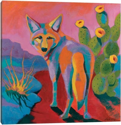 The Watcher Canvas Art Print - Coyote Art