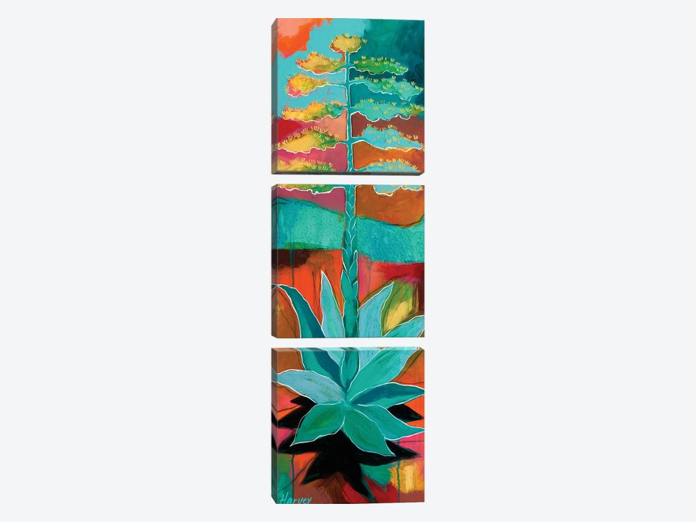 Century Agave In Teal by Kristin Harvey 3-piece Canvas Wall Art