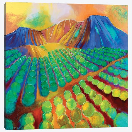 Green Valley Pecans Canvas Print #KHV47} by Kristin Harvey Canvas Wall Art