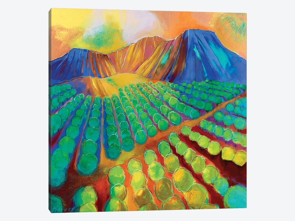Green Valley Pecans by Kristin Harvey 1-piece Canvas Art Print