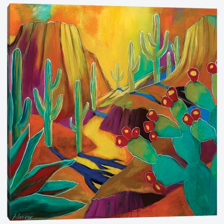 Our Colorful Desert Canvas Print #KHV52} by Kristin Harvey Canvas Art