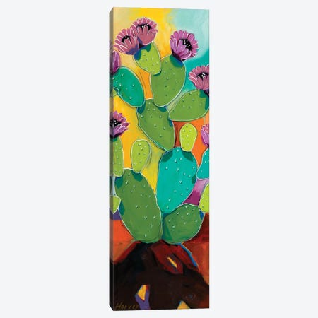Prickly Pastels Canvas Print #KHV53} by Kristin Harvey Canvas Artwork