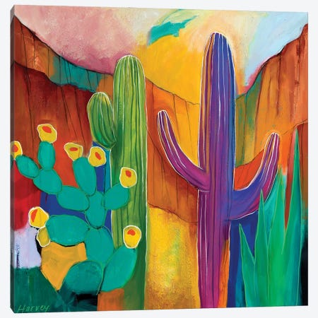 Saguaro Fascination Canvas Print #KHV54} by Kristin Harvey Canvas Art Print