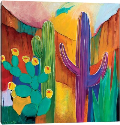 Saguaro Fascination Canvas Art Print - Kristin Harvey