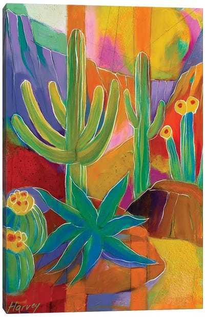 In The Canyon Canvas Art Print - Cactus Art
