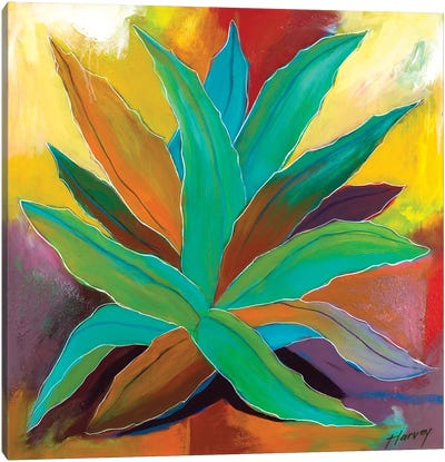 Flaming Agave Canvas Art Print - Southwest Décor