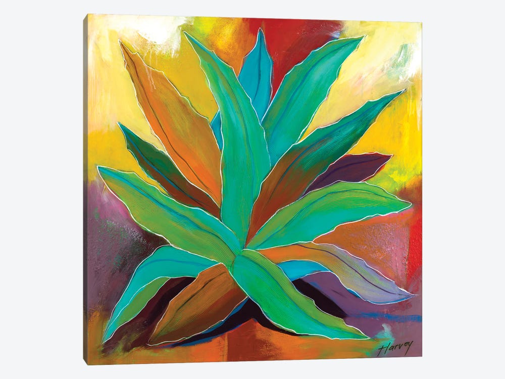 Flaming Agave by Kristin Harvey 1-piece Canvas Print