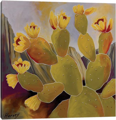 Golden Hour Canvas Art Print - Cactus Art