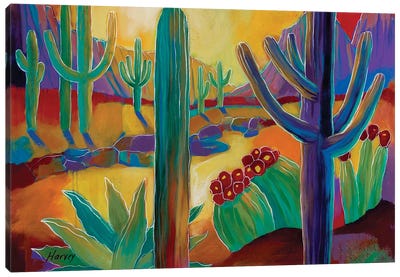 Saguaro National Park Canvas Art Print - Cactus Art