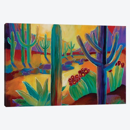 Saguaro National Park Canvas Print #KHV71} by Kristin Harvey Canvas Artwork