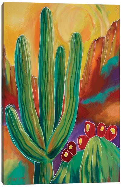 The Golden Days of Summer Canvas Art Print - Cactus Art
