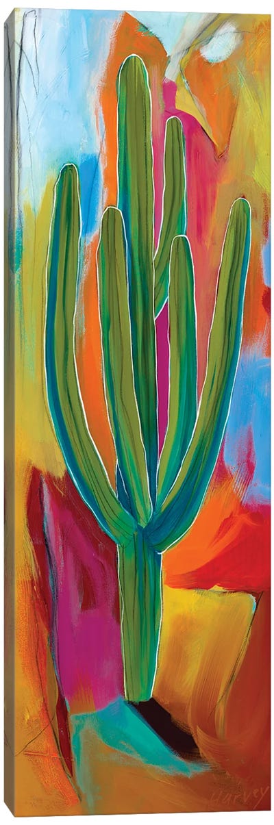 Solamente Canvas Art Print - Cactus Art