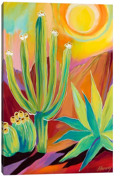 Exuberance Canvas Art Print - Cactus Art