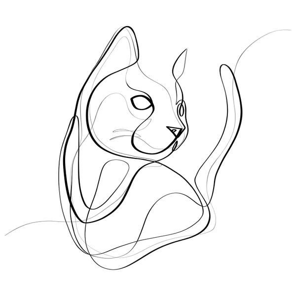 Dane Khy: Cat by Dane Khy