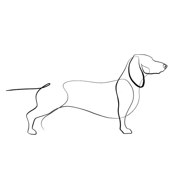 Black & White Minimalist Décor: Dachshund by Dane Khy