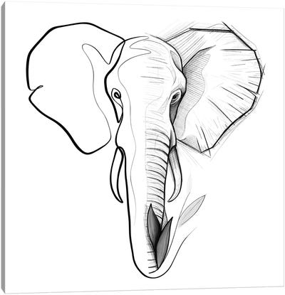 Distinct Elephant Canvas Art Print - Dane Khy