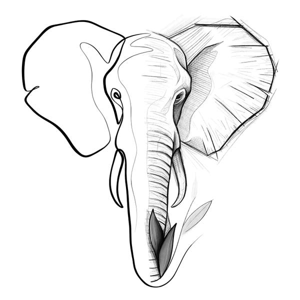 Dane Khy: Distinct Elephant by Dane Khy