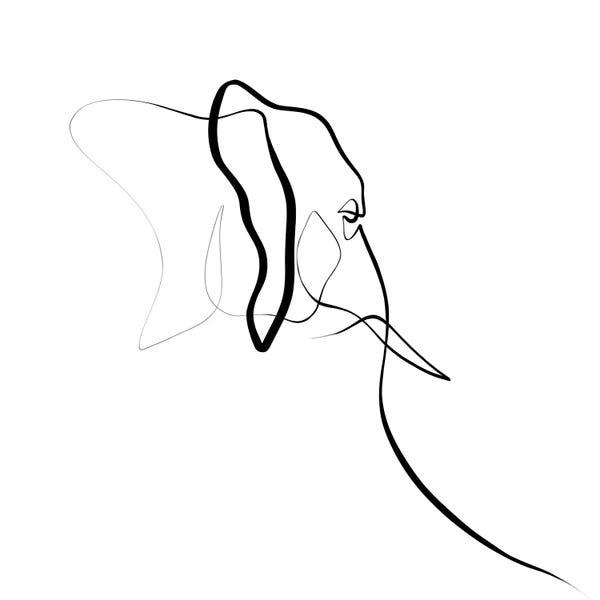 Dane Khy: Elephant I by Dane Khy