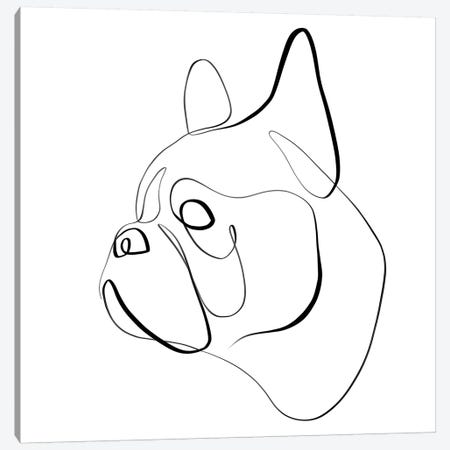 French Bulldog I Canvas Print #KHY23} by Dane Khy Canvas Artwork