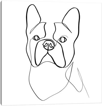 French Bulldog II Canvas Art Print - Black & White Animal Art
