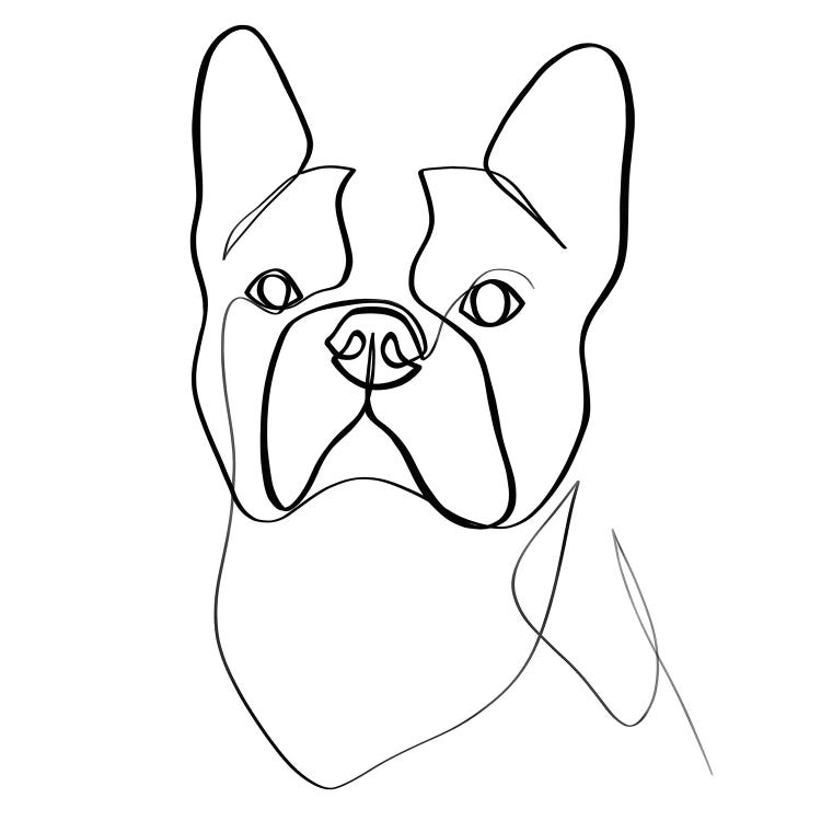 French Bulldog II