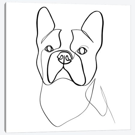 French Bulldog II Canvas Print #KHY24} by Dane Khy Canvas Print