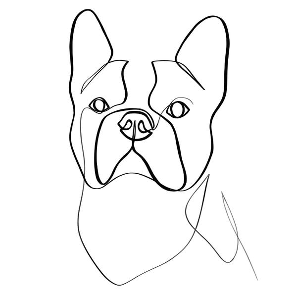 Dane Khy: French Bulldog II by Dane Khy