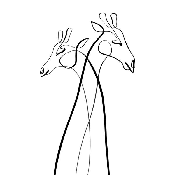 Dane Khy: Giraffe by Dane Khy