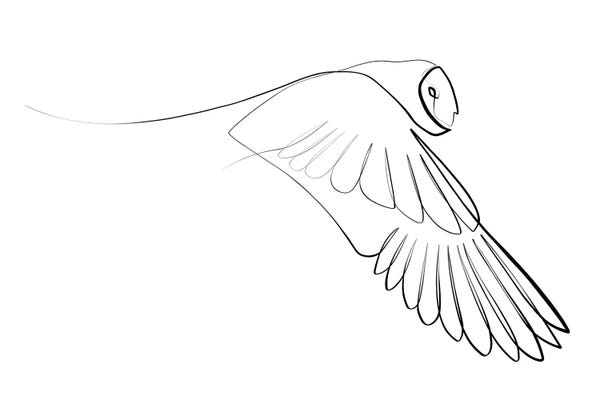 Black & White Minimalist Décor: Barn Owl by Dane Khy