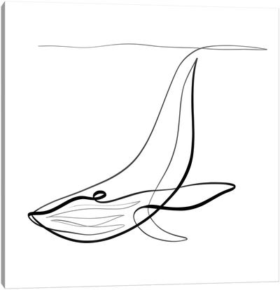 Humpback Whale I Canvas Art Print - Dane Khy