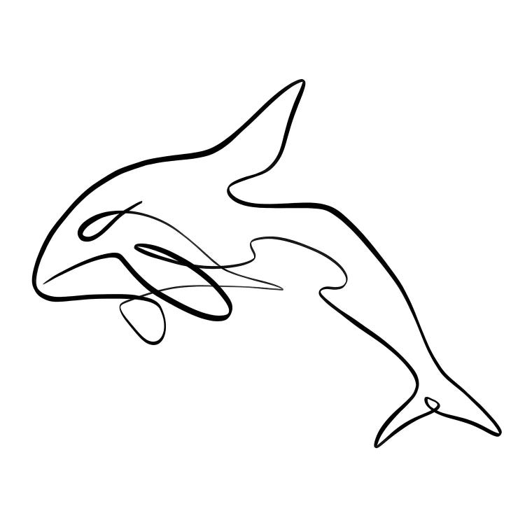 Orca Whale I