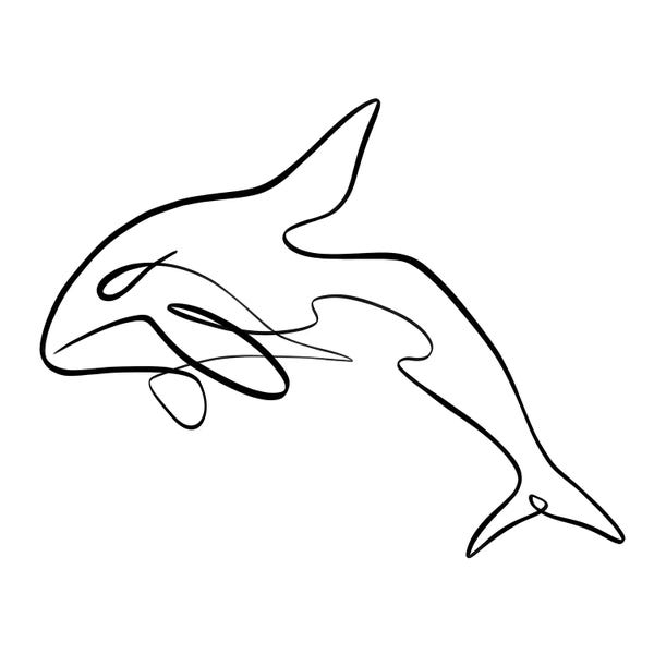 Dane Khy: Orca Whale I by Dane Khy