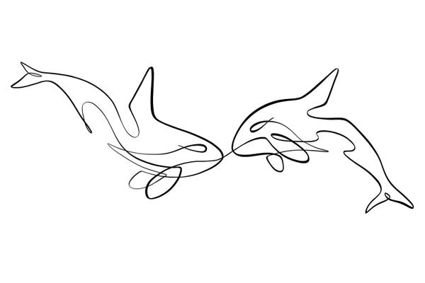 Dane Khy: Orca Whales by Dane Khy